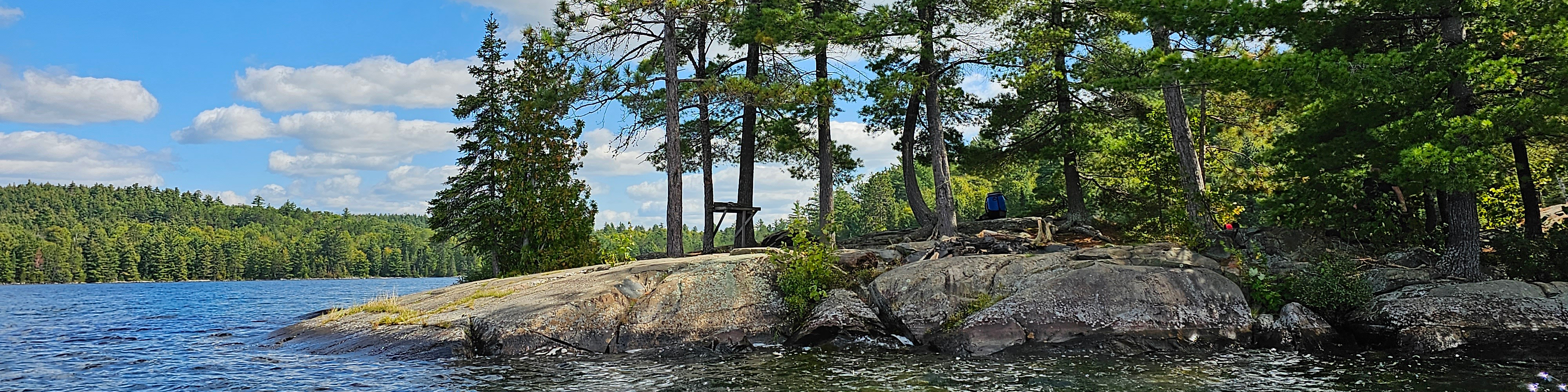 A beach side forest on a large rock, surrounded by the water of Georgian Bay, Ontario, on a bright day